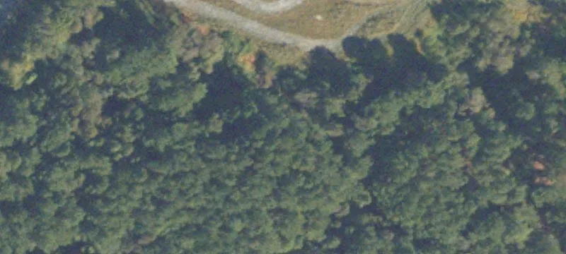 Lenox, GA 31637