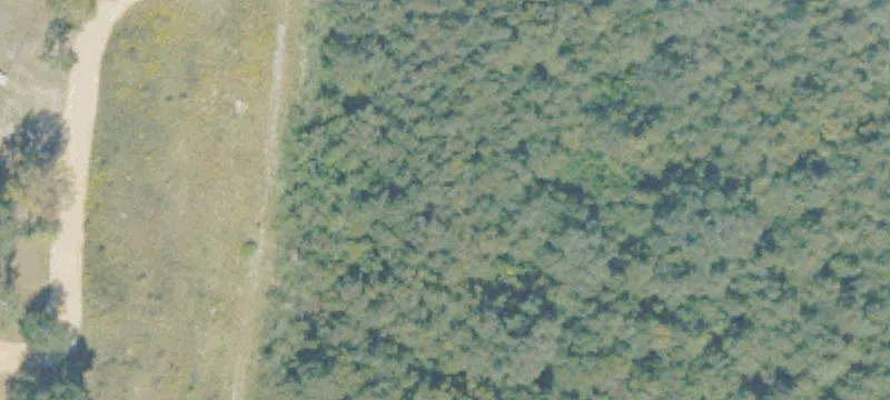 Jesup, GA 31545