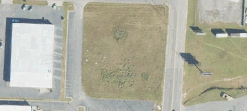 Magnolia Dr