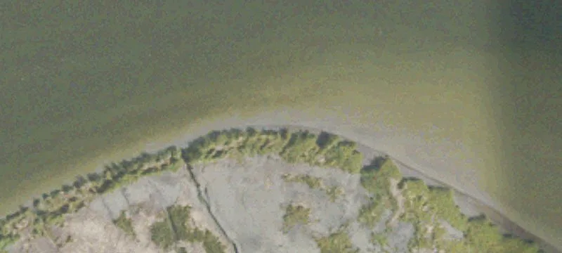 Darien, GA 31305