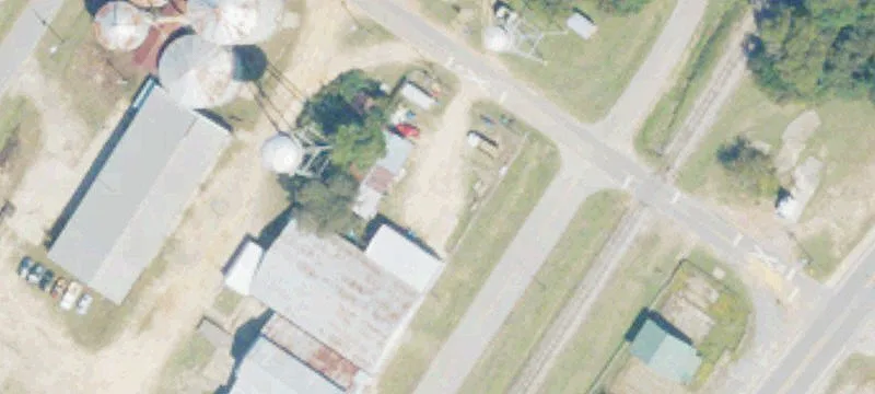 Alamo, GA 30411