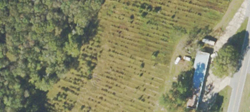13499 Hwy 301st N