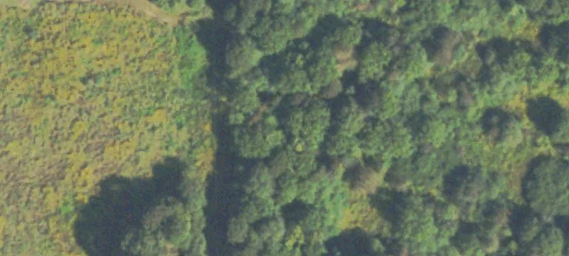 Old Federal Rd