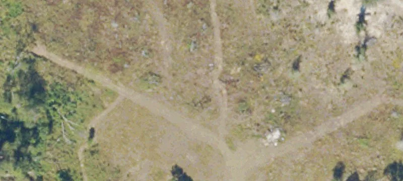 6000 Ga Hwy 203