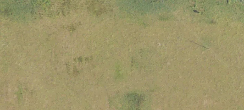 Ellaville, GA 31806