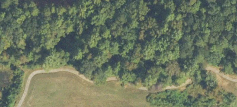 Herndon Rd