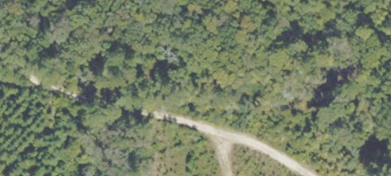 Old Cuyler Rd