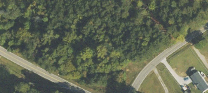 Mann Rd