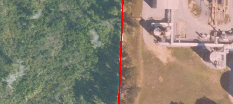 Bainbridge, GA 39817
