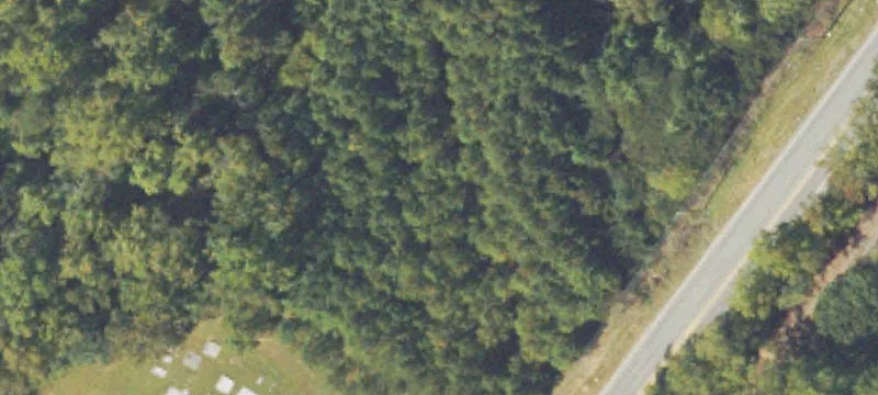 Marion Spence Rd