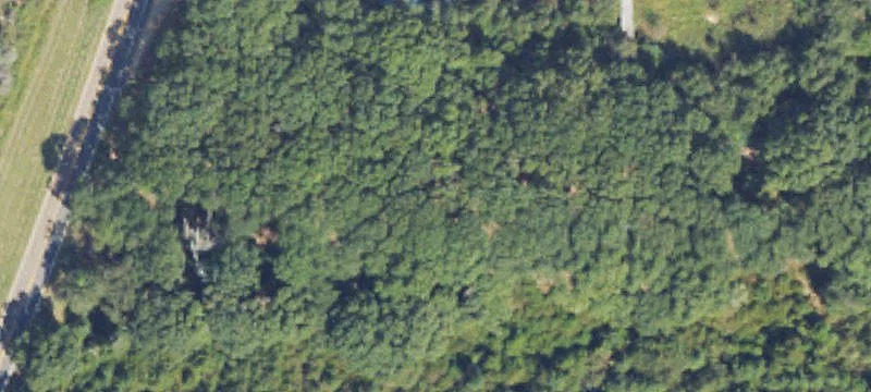 Oglethorpe, GA 31068