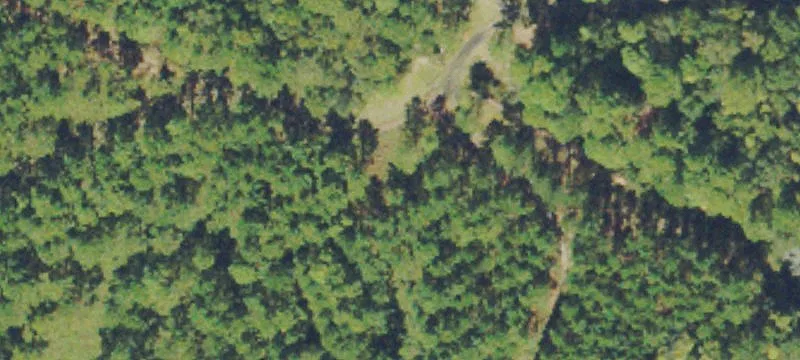 Sims Rd