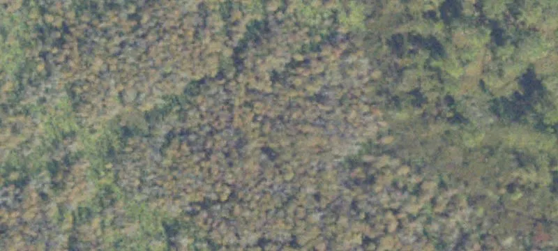 Pearson, GA 31642