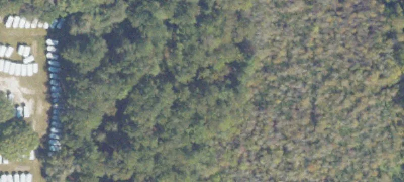 Pearson, GA 31642
