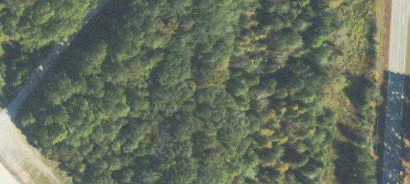 Bowman Hwy