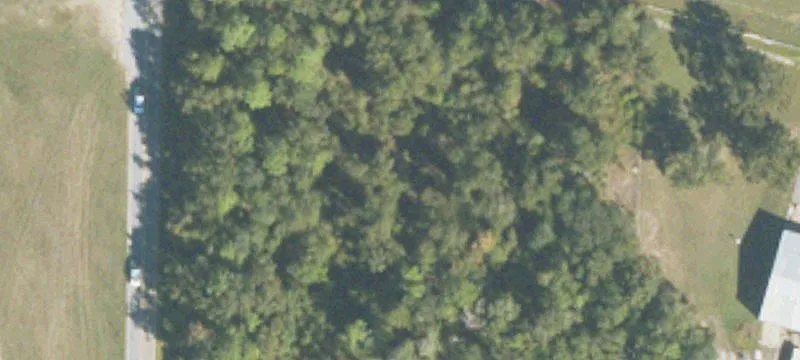 Bainbridge, GA 39817