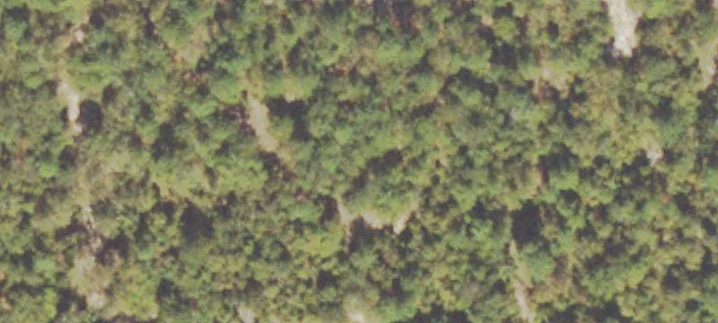 Us Hwy 221