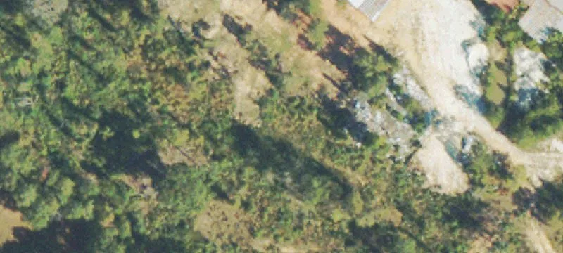 1464 Lexington Hwy