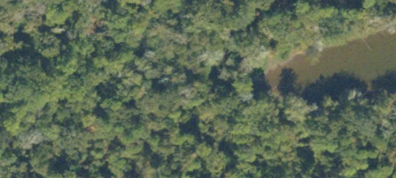 Pelham, GA 31779