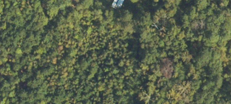 Waverly Hall, GA 31831