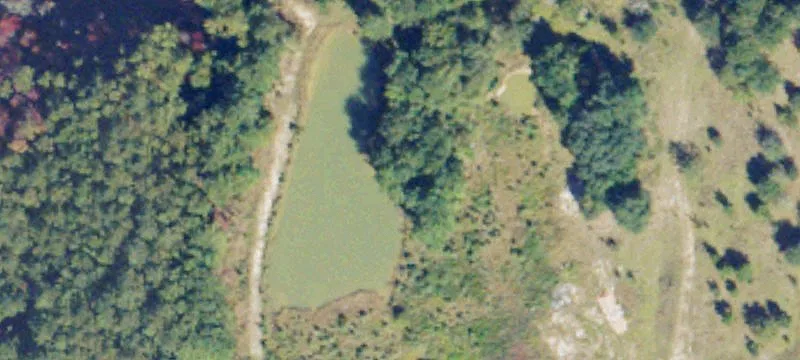 Alamo, GA 30411
