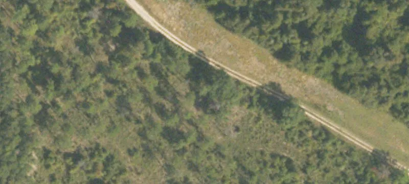 Blakely, GA 39823