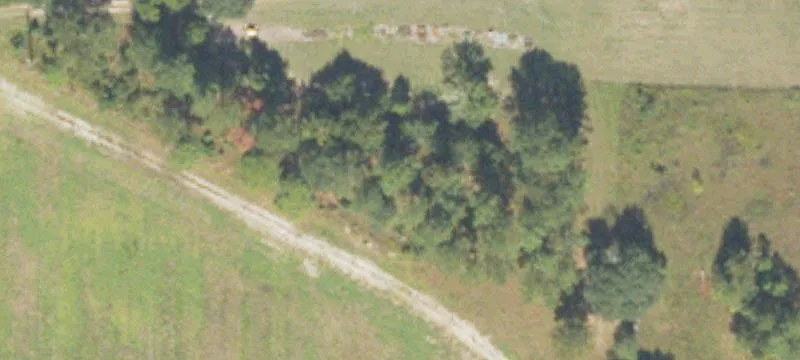Camilla, GA 31730