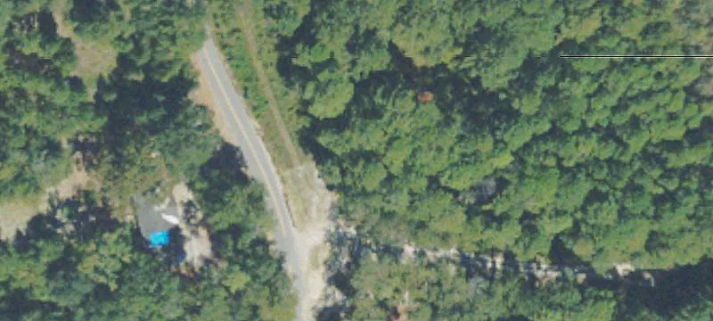 Homestead Dr