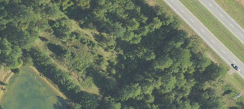 Us 82