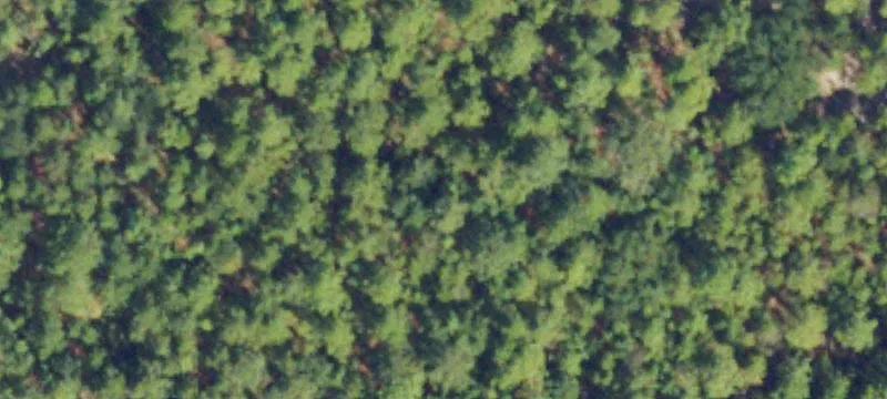 Glenwood, GA 30428