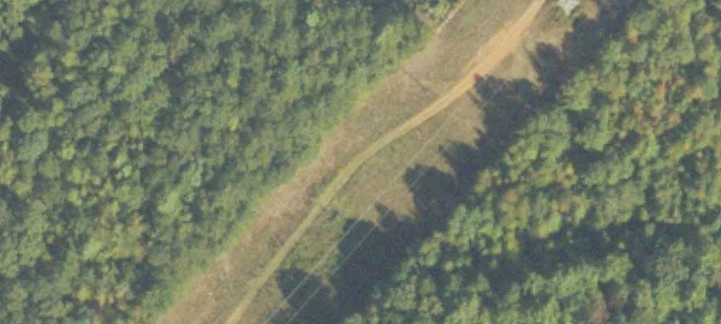 Williams Rd