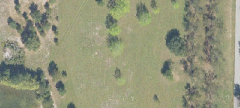Colquitt, GA 39837