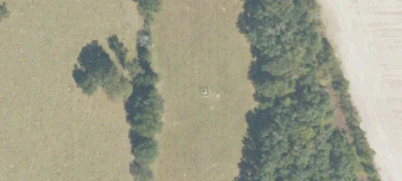 Martin School Rd