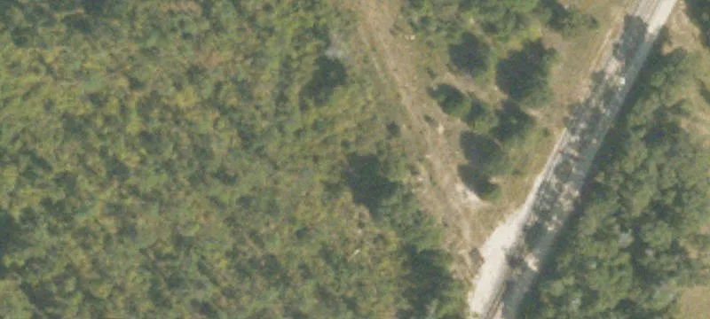 Blakely, GA 39823
