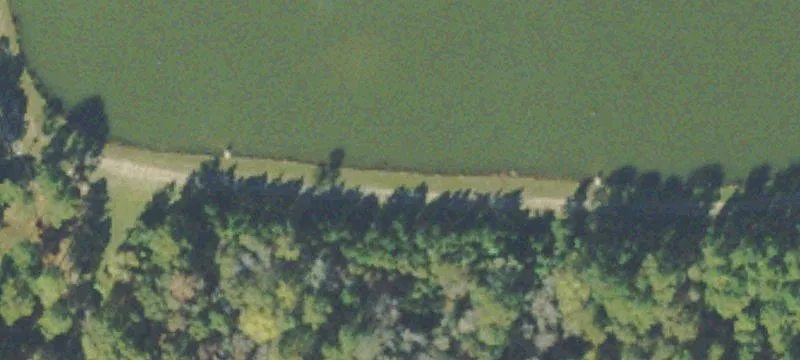 230 Shamrock Rd