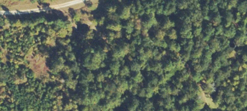 Loyd Smith Rd