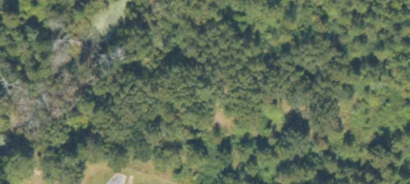 84 Ee NE Blvd