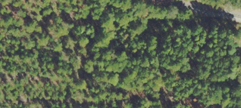 Ga Hwy 292