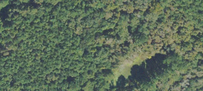 Midway, GA 31320