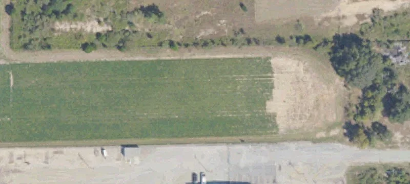 Cordele, GA 31015