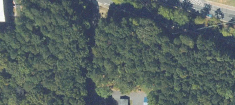 Chastain Rd
