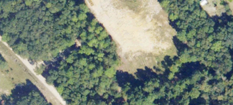 Alamo, GA 30411