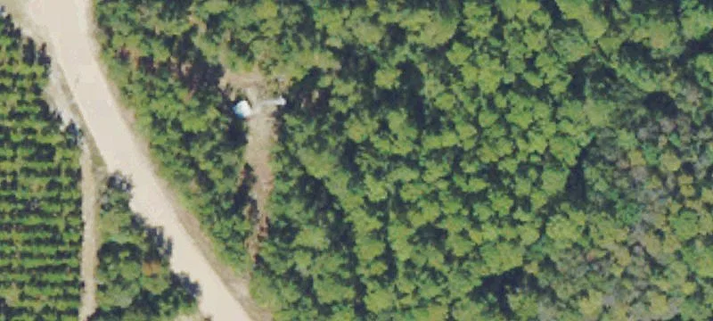 Ludowici, GA 31316