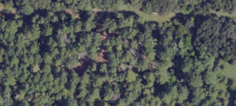 State Rte 49th Rd