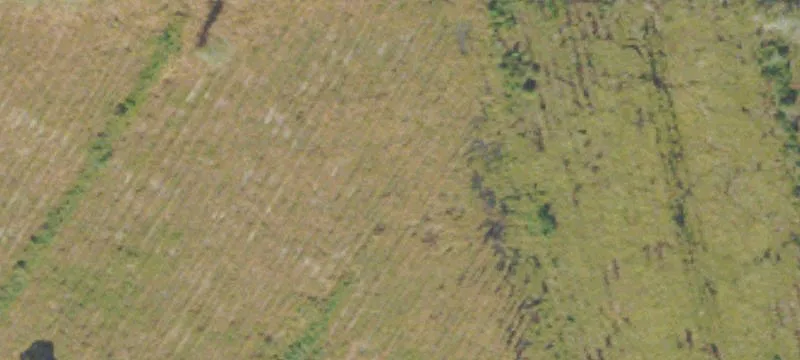 Odum, GA 31555