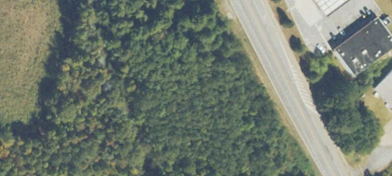 Taylor Rd