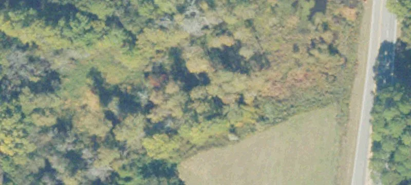 Fitzgerald Hwy