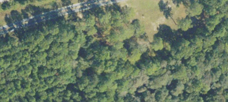 Alamo, GA 30411