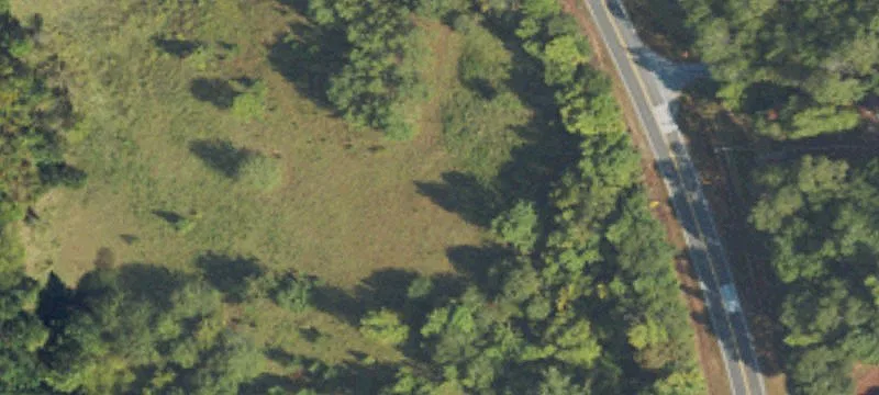 Box Springs, GA 31801