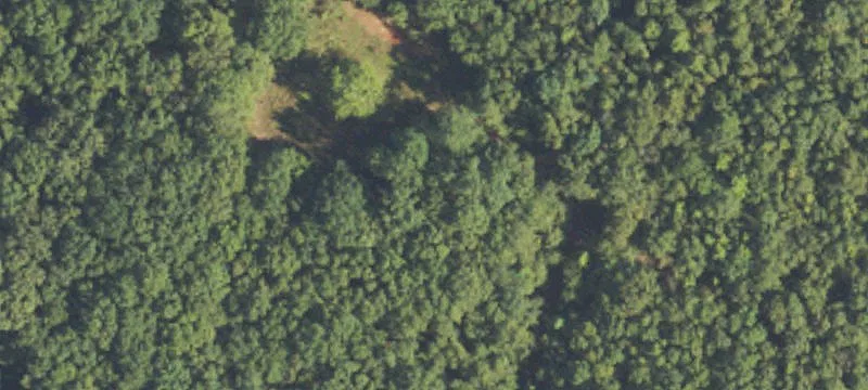 Weston, GA 31832